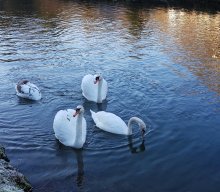 Jahresabschlusswanderung im Pegnitztal – „Weitblicke genießen“